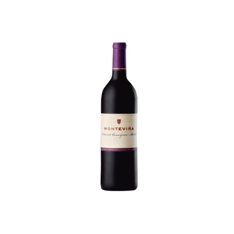 Cabernet Sauvignon Monteviña Casa Madero 750ml