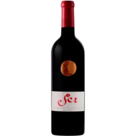 Cabernet Sauvignon Single Vineryard “SER” Viña Marty 750ml