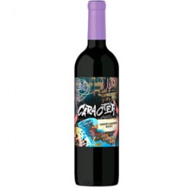 Caracter Santa Ana Cabernet Sauvignon & Malbec 750ml