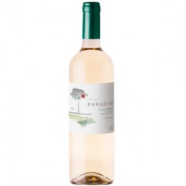 Sauvignon Blanc Andean Paradise 750ml