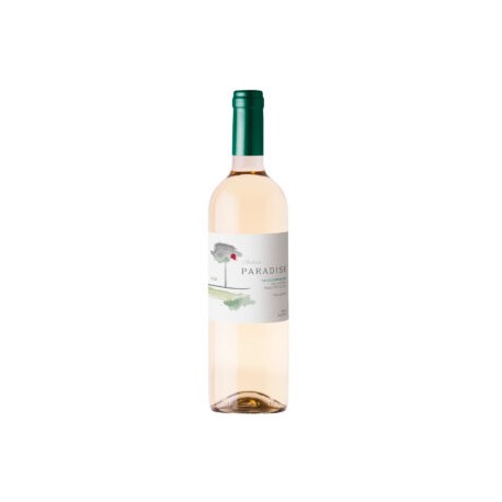 Sauvignon Blanc Andean Paradise 750ml