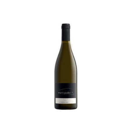 Martin Pasler Grüner Veltliner 750 ml