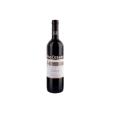 Nebbiolo Langhe Pio Cesare DOC 750 ml