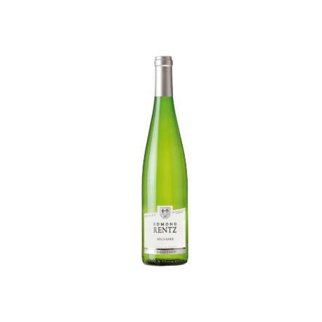 Edmond Rentz Sylvaner Vielles Vignes 750 ml