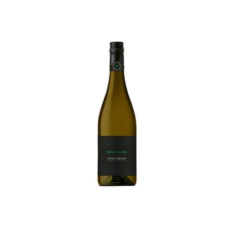 Pinot Grigio Novapalma DOC Organic Wine 750ml